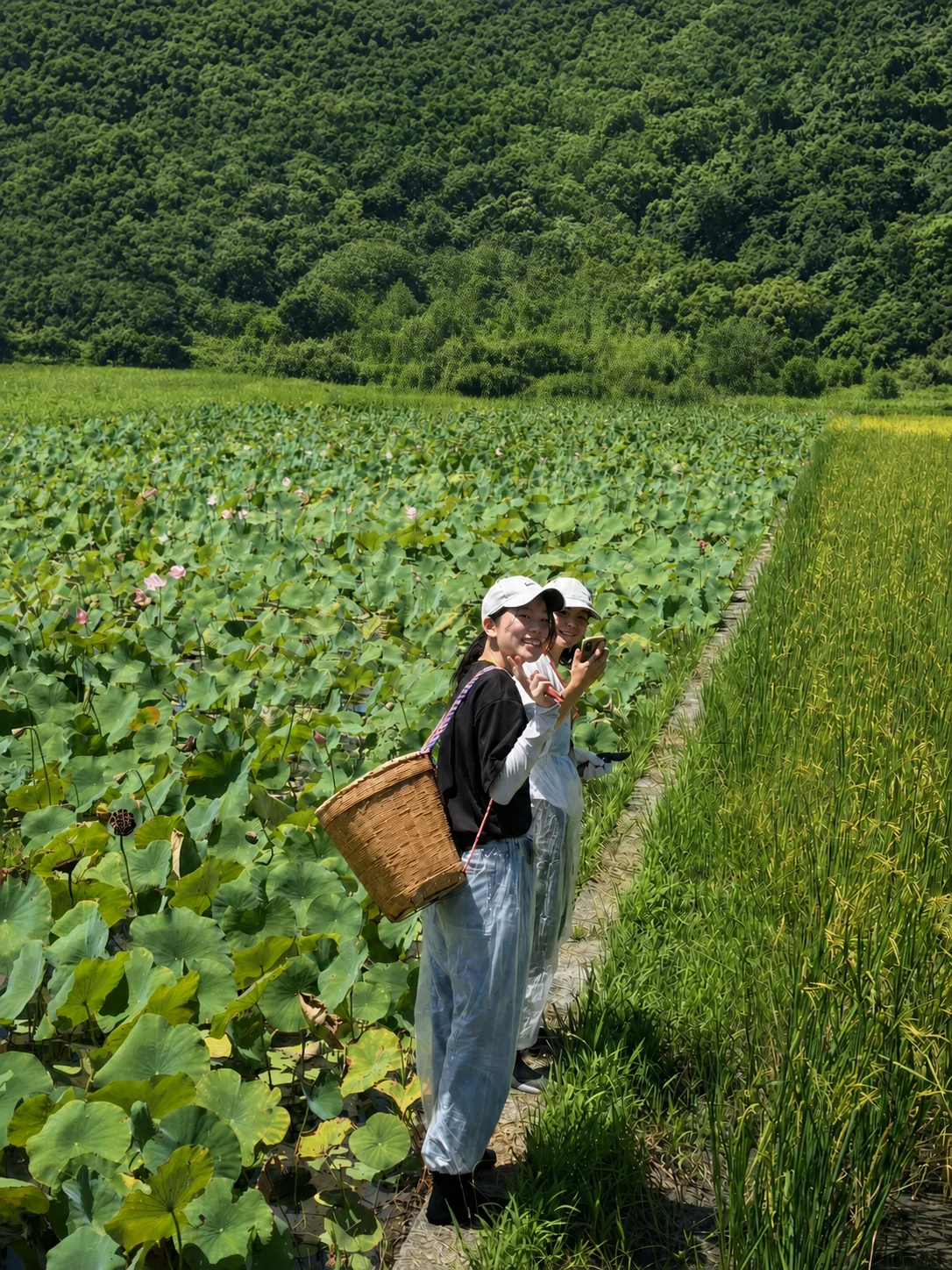泰拉學校學員走進蓮田體驗自然環境